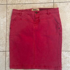 Anthropologie– skirt